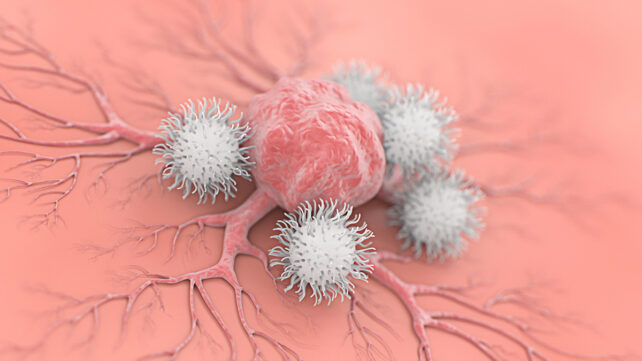 Anti-cancer cells