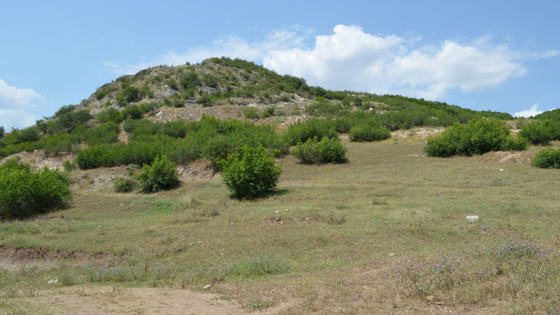 Kvemo Bolnisi site