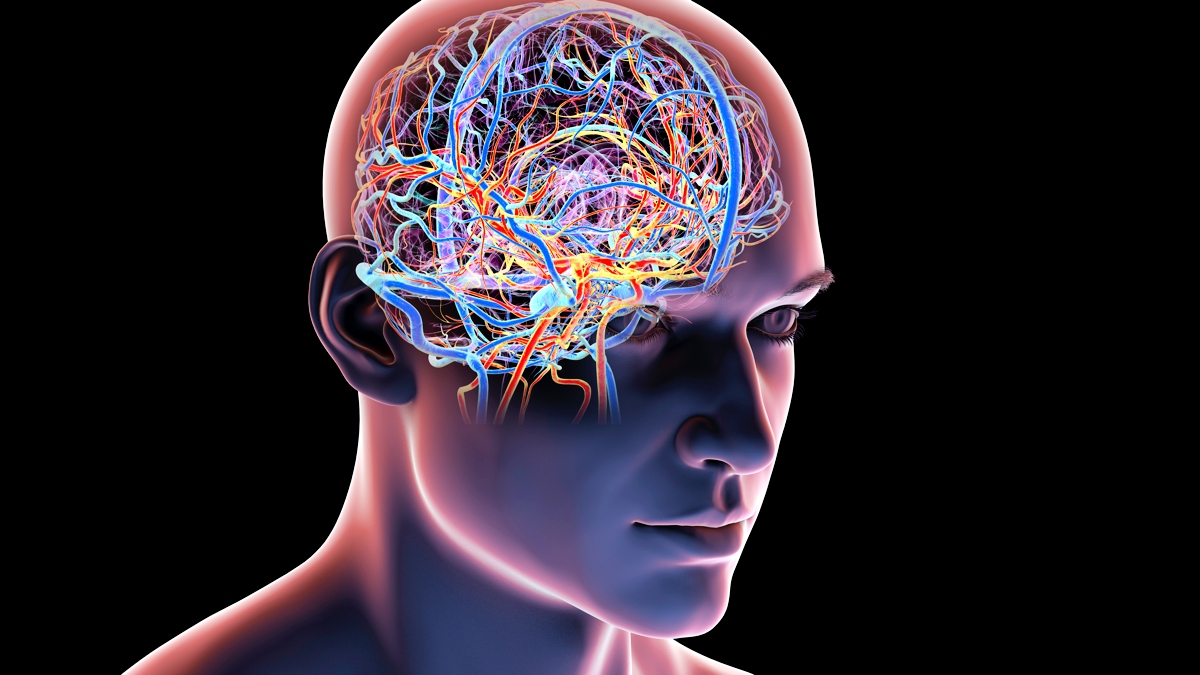 An Expert Reveals How to Keep Your Brain Sharp as You Age : ScienceAlert
