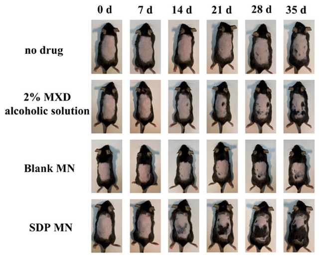 Mice baldness