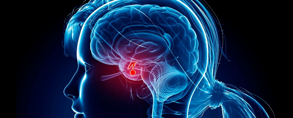 The 'Other Diabetes' Has Nothing to Do With Blood Sugar