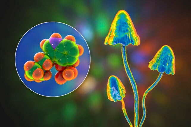 Illustration showing a psychedelically colored mushroom and the molecular structure of psilocybin