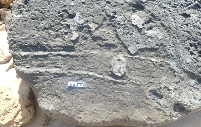 Mammal Dragging Its Butt Across The Ground Left a 126,000-Year-Old Imprint