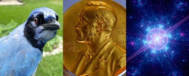This Week in Science: A Bizarre Bird, The End of The Universe, And More!