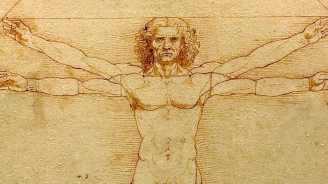 A photo of artwork depicting the Vitruvian Man