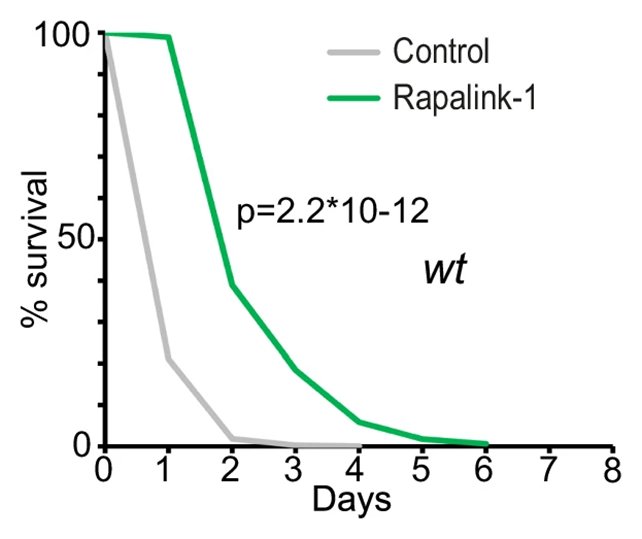 Rapalink-1 effects chart