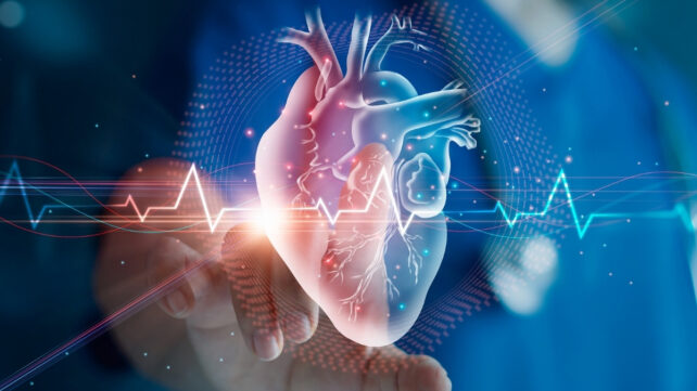 heart diagram