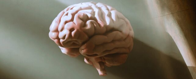 brain illuminated