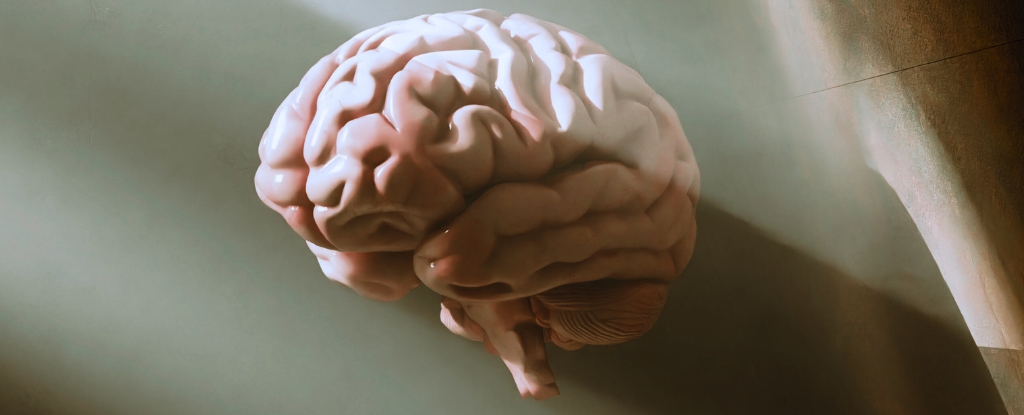 Your Brain Looks Older When You've Slept Poorly, Study Finds