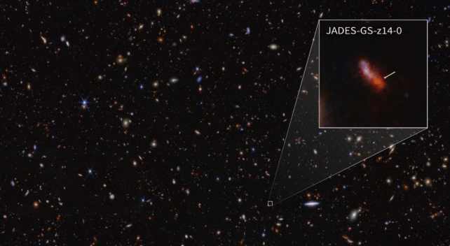 JWST Might Have Spotted The "Smoking Gun" For a Bizarre Dark Star