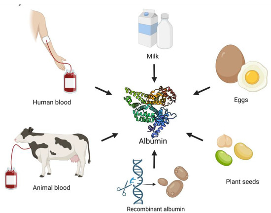 Graphic showing a cow, milk, plant seeds, and albumin structure