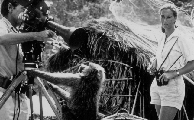 Jane Goodall filming