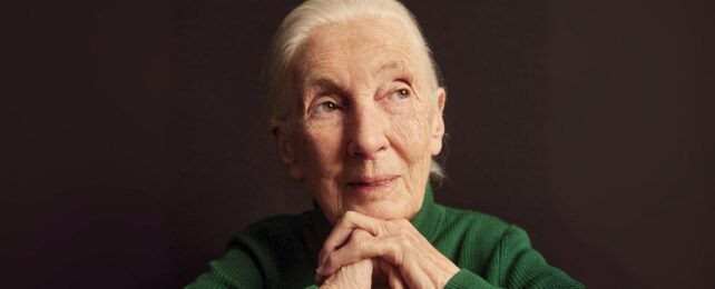 jane goodall
