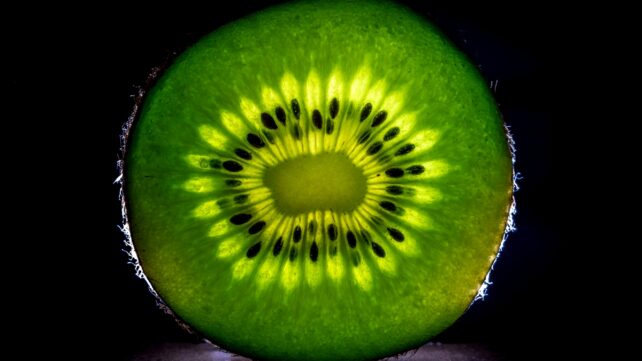 kiwi fruit
