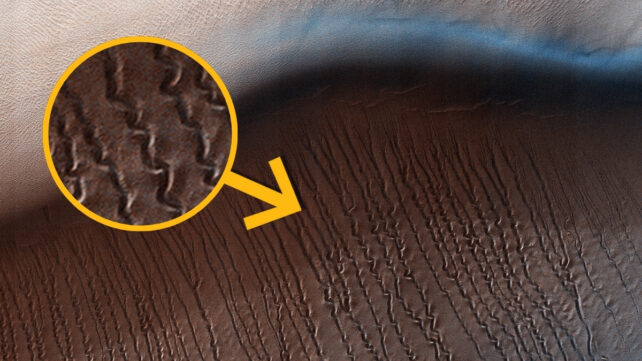 Experiment Reveals What Is Truly Burrowing Beneath Mars's Dunes Each Spring