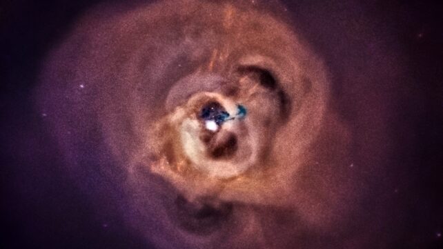 perseus cluster