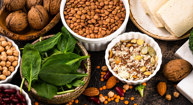 plant proteins