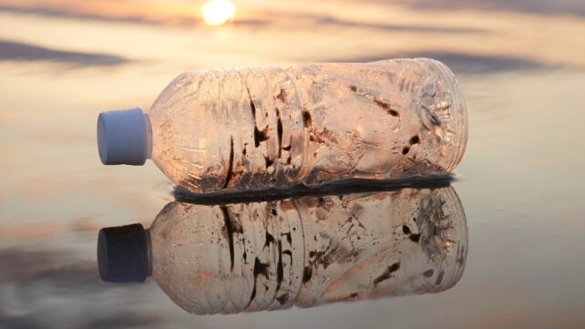 plastic waste on a beach