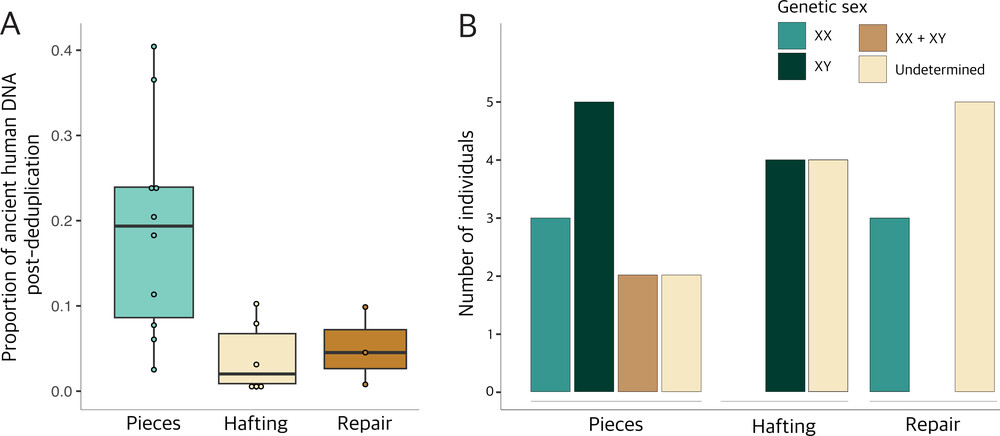 graphs showing proportion of male or female dna found in the specimens