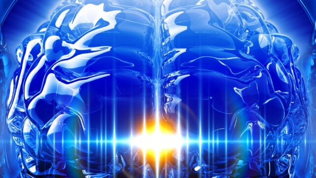 sound waves inside a brain