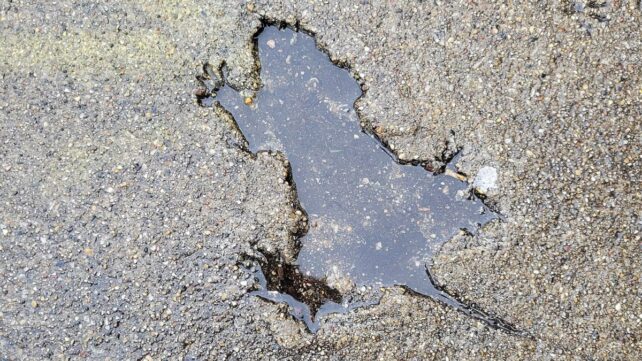 Scientists Solved Chicago's 'Rat Hole' Mystery, And The Culprit Is Adorable