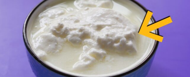 bowl of yoghurt with a yellow arrow