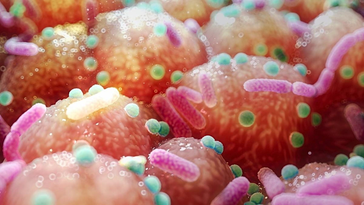 Vztah Parkinsonovy nemoci a střevních bakterií naznačuje jednoduchou léčbu