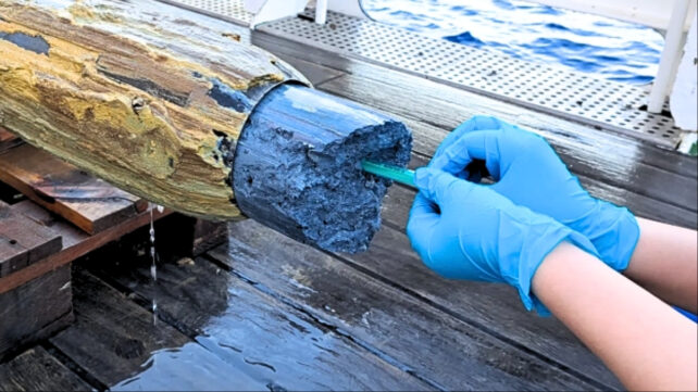 Scientists Discover Mysterious Signs of Life in Bizarre Blue Volcanic Goo