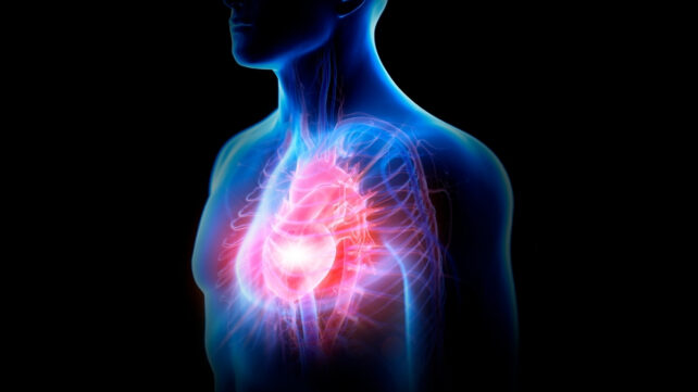 Illustration of mans torso in glowy blue outlines with heart highlighted in red