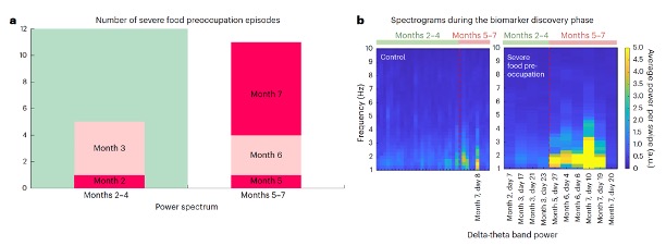Two graphs showing brain activity during instances of food preoccupations.