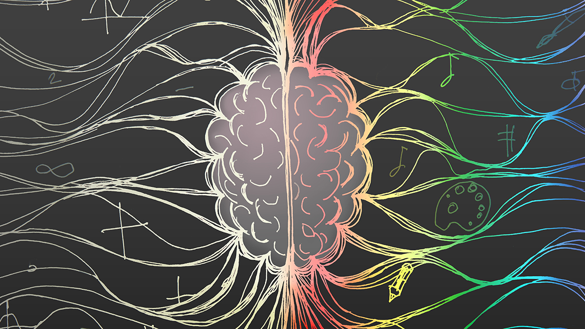 Human brain illustration depicting the left hemisphere with mathematical symbols and the right hemisphere with colorful artistic elements, representing logical and creative thinking