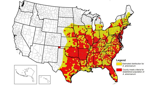 Distribution of lone star tick across south east US