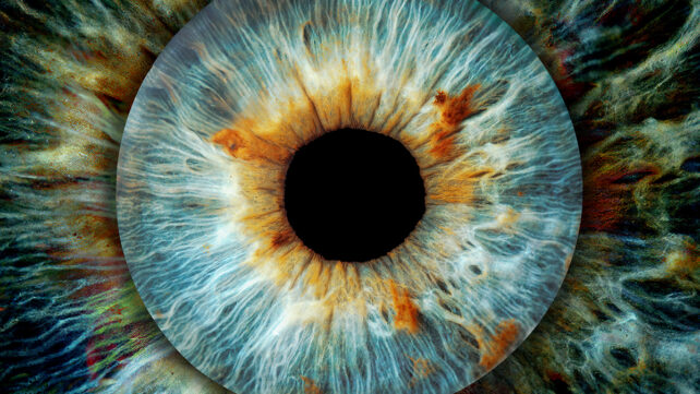 Close up oh human iris