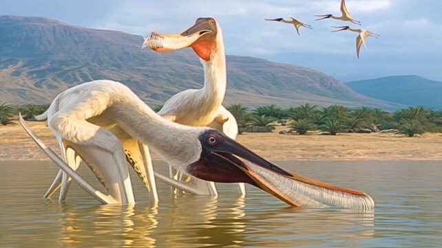 Bizarre New Species of Flying Reptile Discovered in Fossilized Dinosaur Vomit