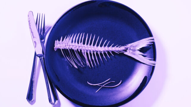 fish bones on a plate, with a purple tint