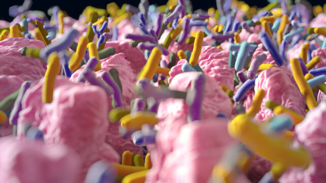 Gut bacteria illustration