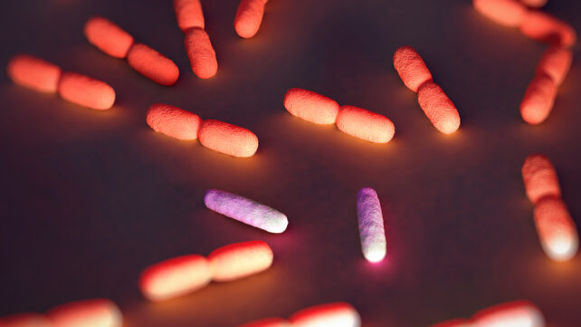 Scientists Are Hacking Bacteria to Fight Cancer, Then Self-Destruct