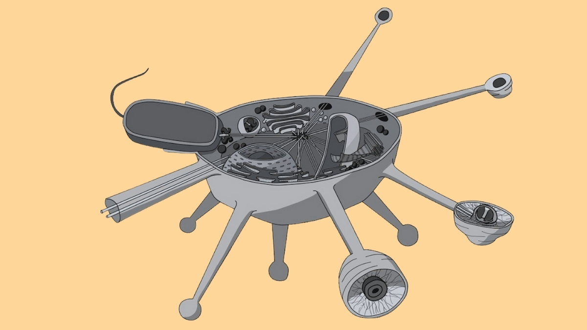 Newly Discovered Organism Could Represent a Whole New Branch in The Tree of Life