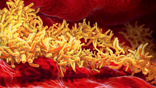 illustration of mycobacterium