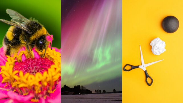 This Week in Science: Awesome Auroras, Morse Code For Bees, And More!