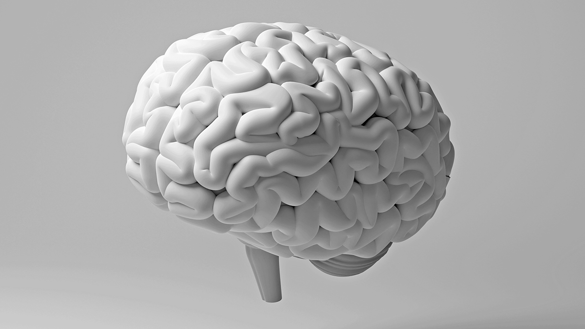 Study Links Gum Disease With White Matter Damage in The Brain : ScienceAlert