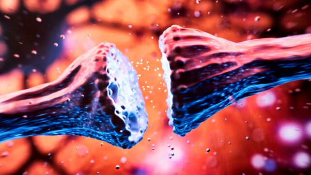 brain synapse connection