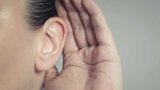 Your IQ May Affect How Well You Can Hear Speech, Study Shows