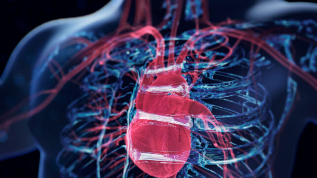 Your Heart Health in Middle Age Could Predict Your Later Dementia Risk