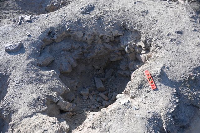 A hole with small rocks poking out of its dirt walls. Parts of other holes can been seen nearby. A plastic, rectangular, orange object is place near the edge of the hole, to measure its size. 