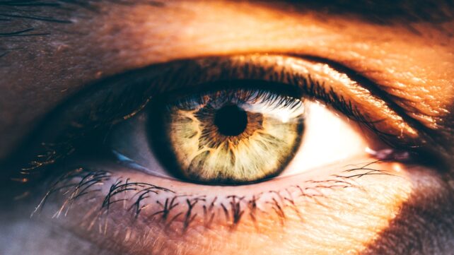 human-eye-closeup