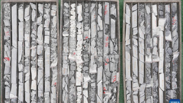 Drilled rock samples, which are believed to contain valuable gold deposits