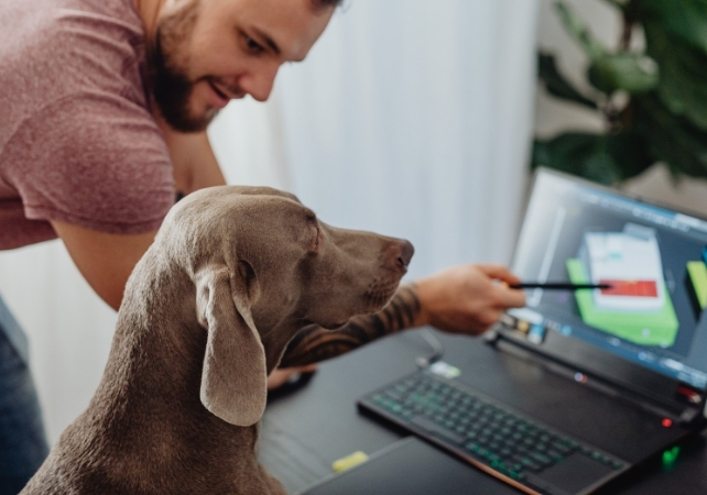 man pointing at a screen to show his dog