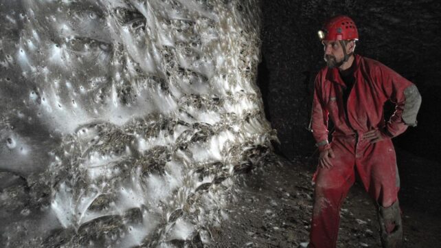 A man standing next to a huge spider web