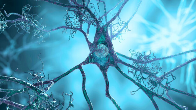 illustration of a neuron in blue tones